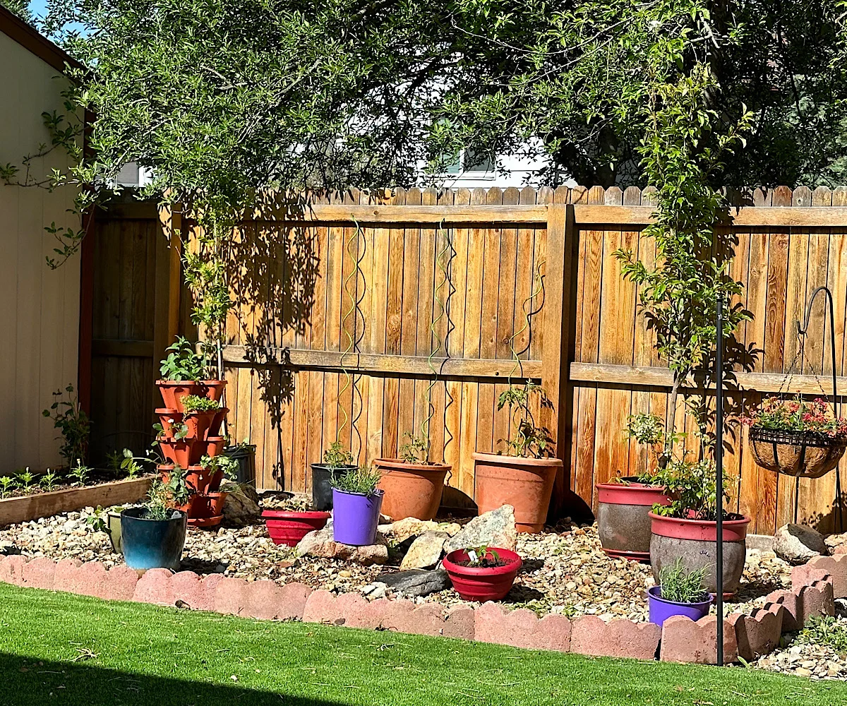 Automated Oasis: Sustaining Your Container Garden While You Travel