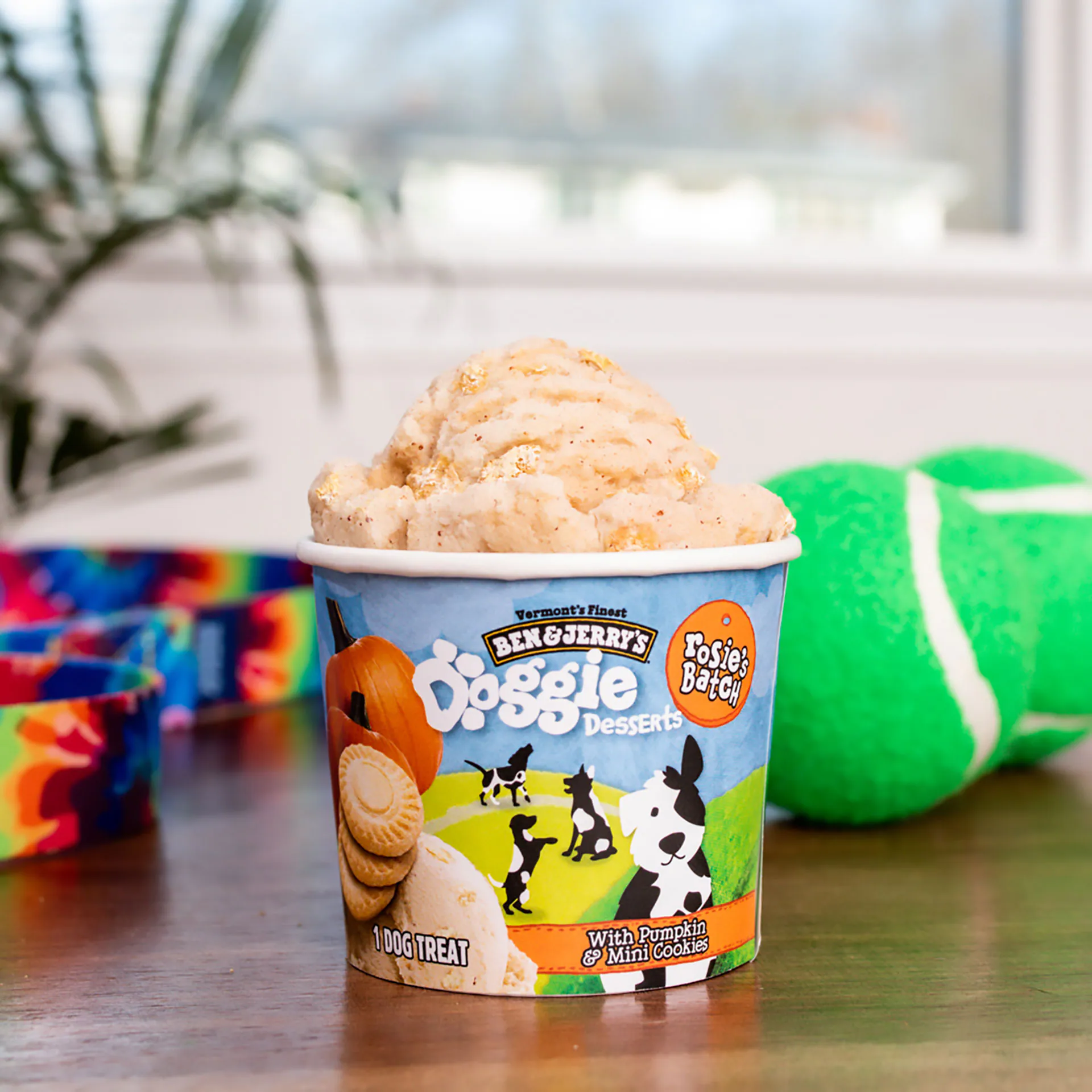 Ben & Jerry’s "Accidentally Vegan" Dog Desserts Spark Delight and Debate Among Consumers