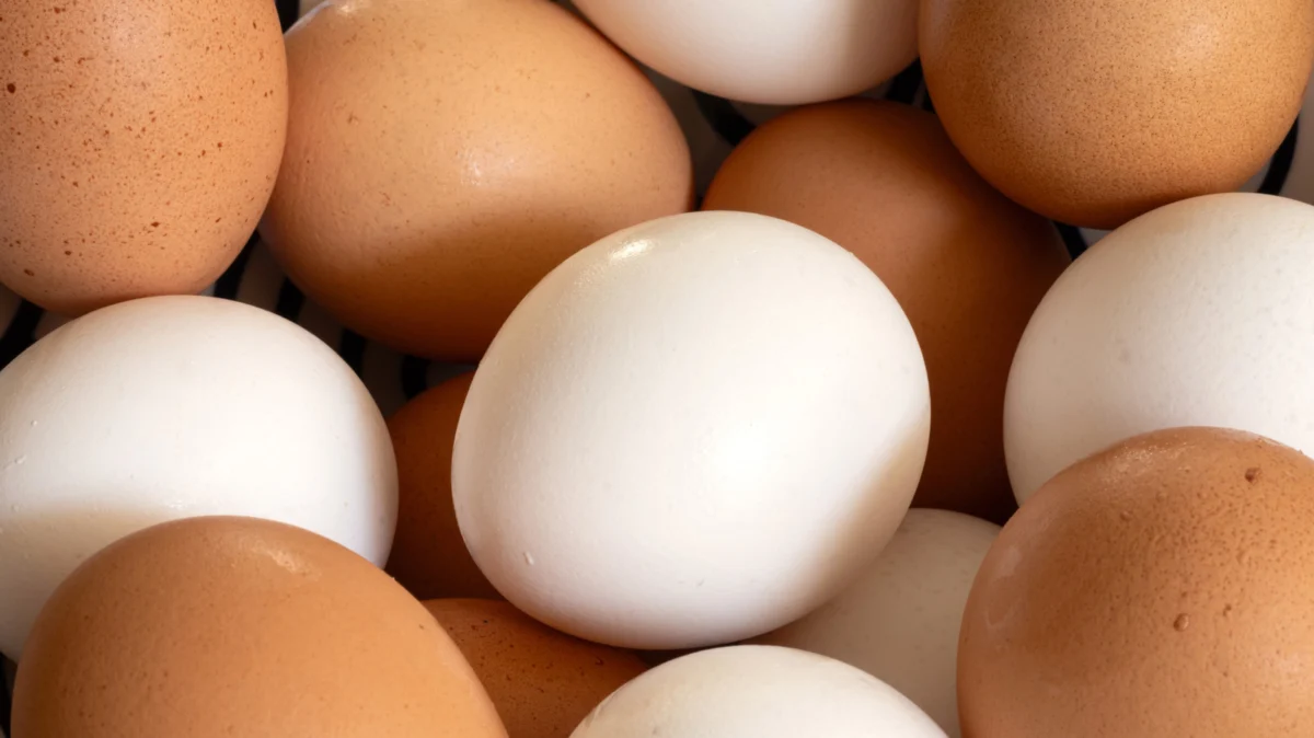 Beyond the Egg: Unveiling a World of Superior Protein Sources