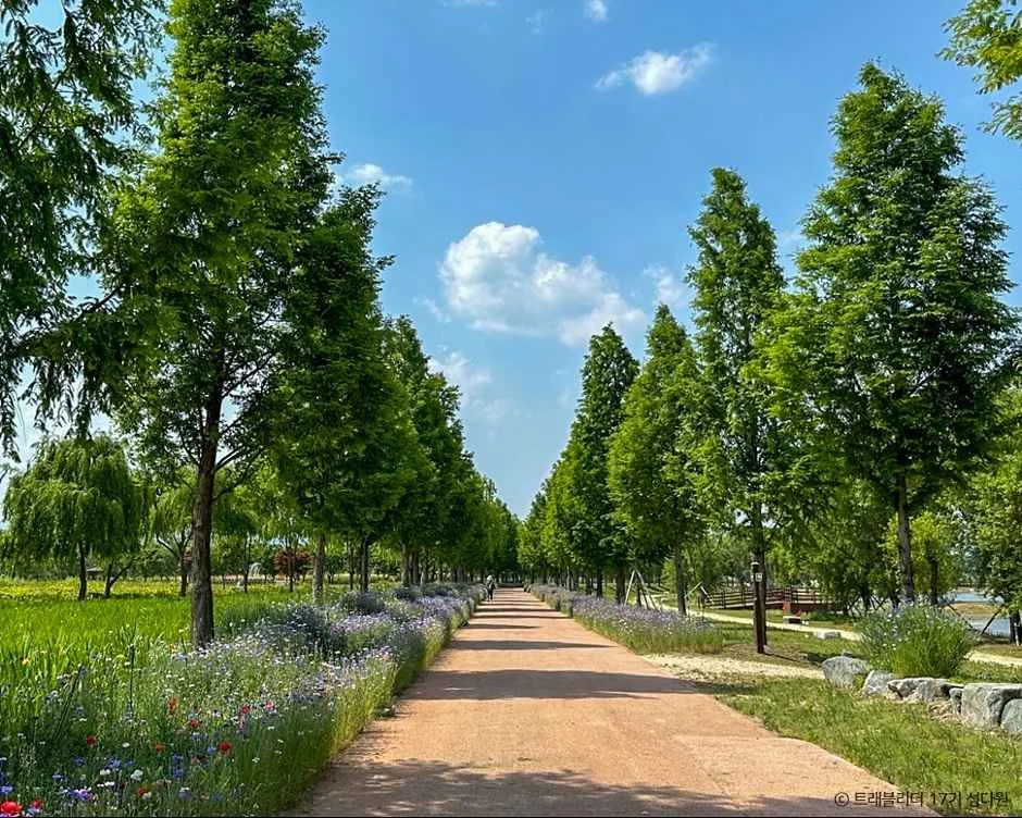 Geochang Anti-Aging Healing Land: A New Dawn for Wellness Tourism in South Korea