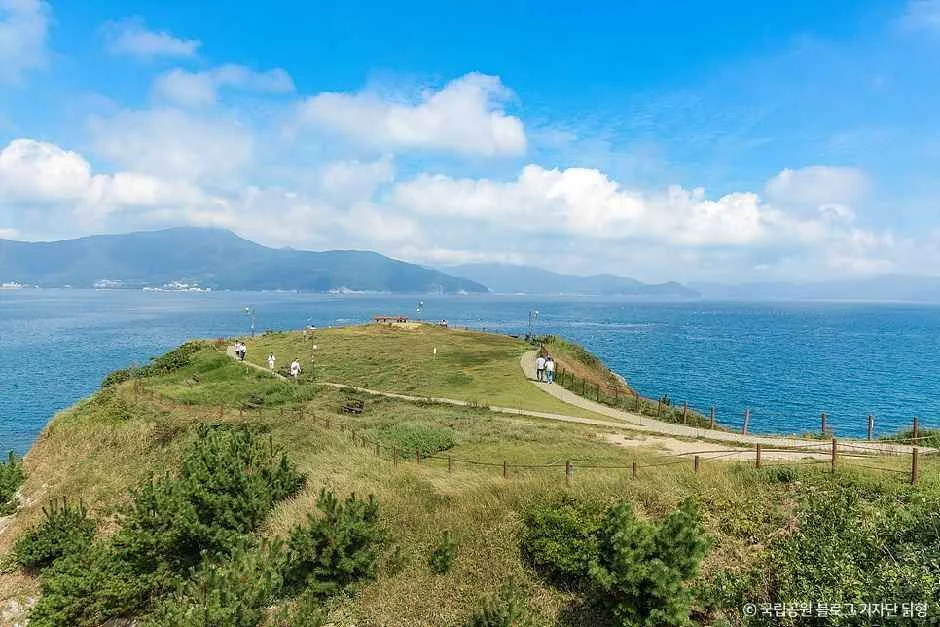 Hallyeohaesang National Park: A Jewel of Korea’s Southern Coastline – Geoje Section Shines as a Beacon of Biodiversity and Natural Splendor