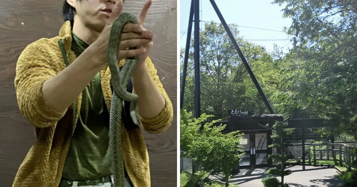 Horrific Discovery at Asahiyama Zoo: Zookeeper Arrested in Wife’s Cremation