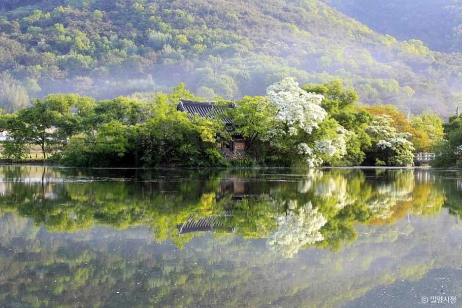 Miryang Arirang: A Timeless Melody Echoes Through History and Nature in South Korea