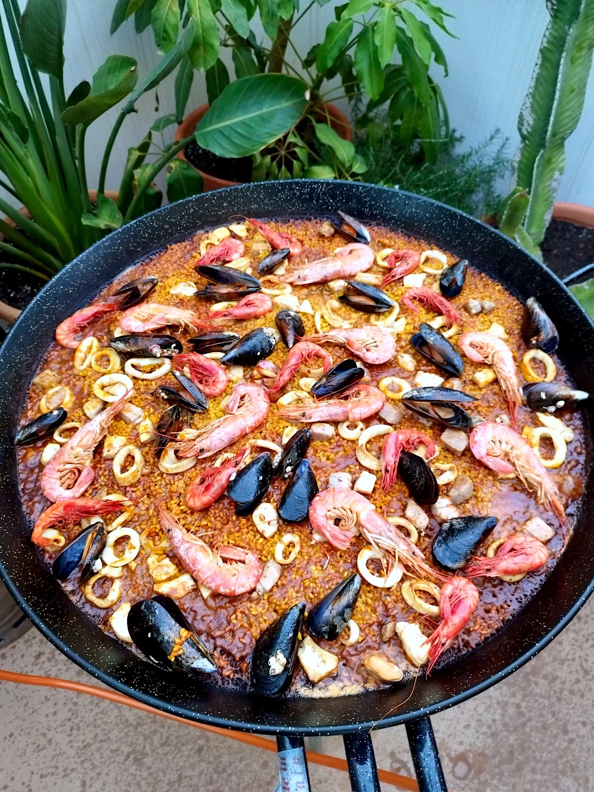 Spain’s Golden Grain: A Deep Dive into the World of Paella and Beyond