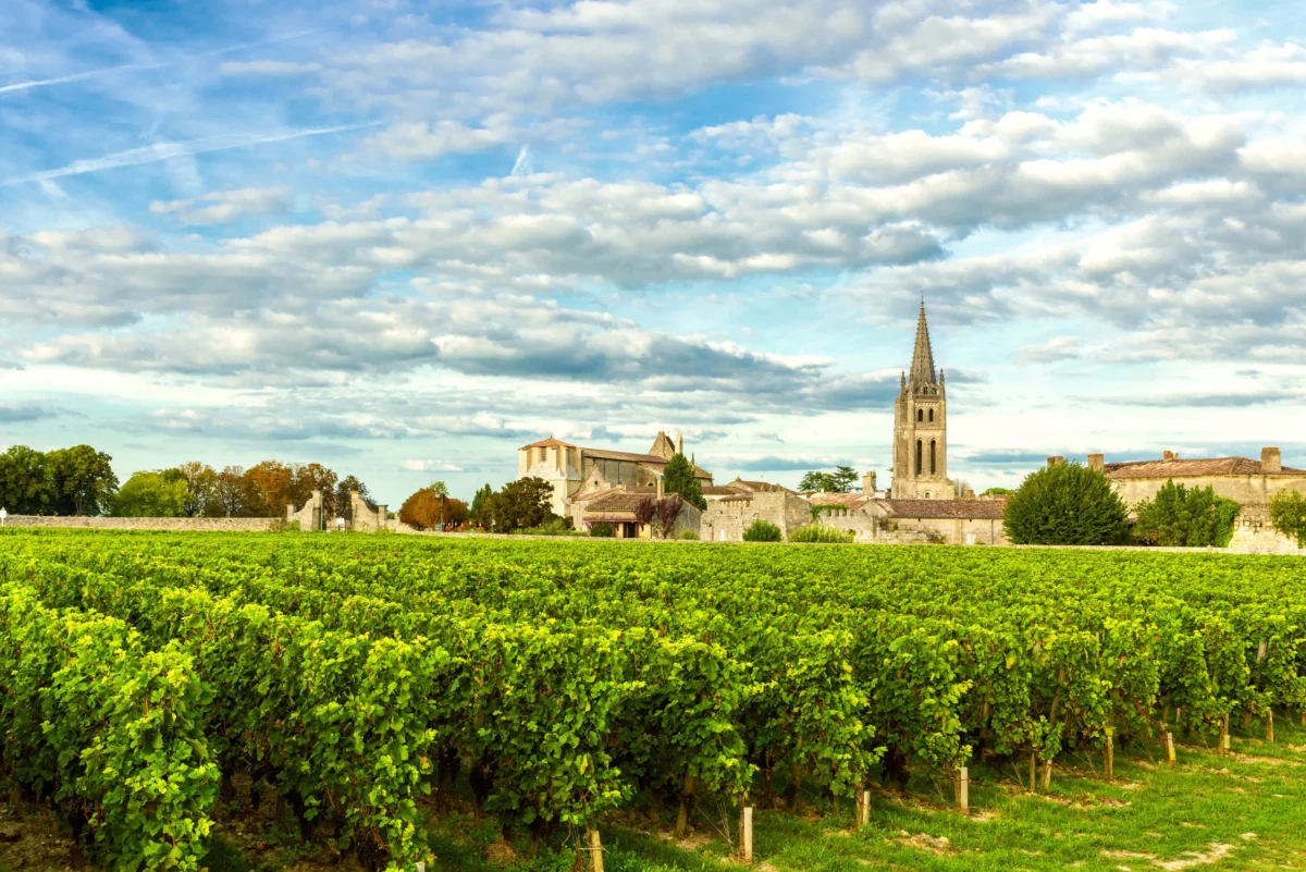 Strategic Shift in Fine Wine Procurement: Wine Cap Appoints Berry Bros. & Rudd Veteran Adrian Brice as Head of Buying