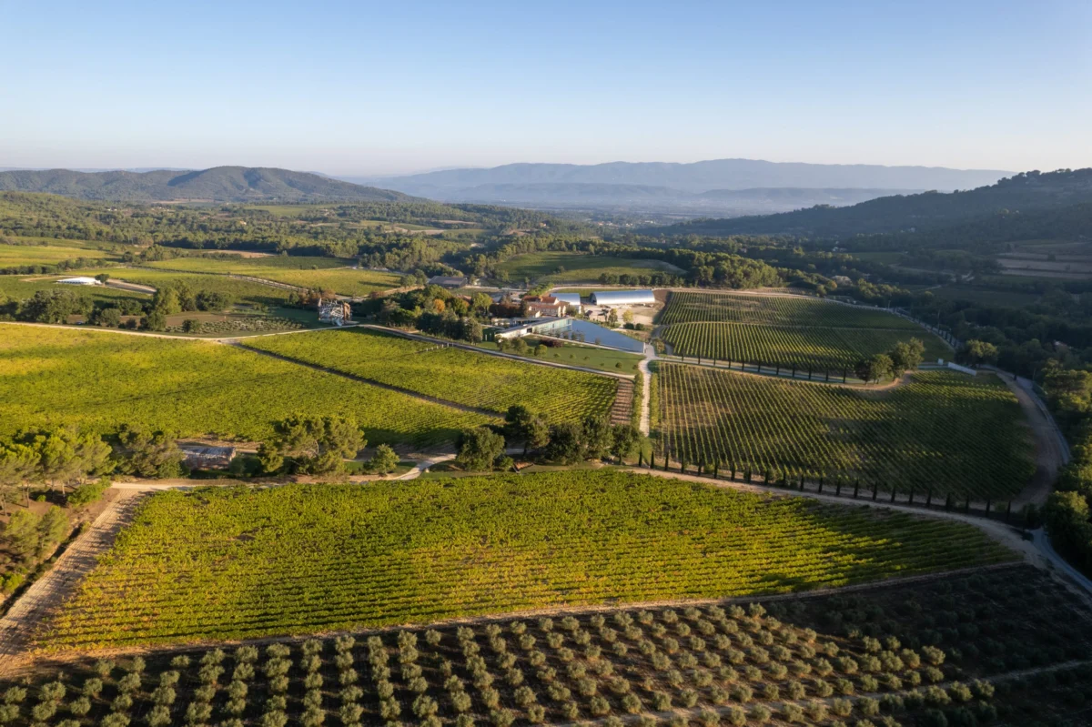 The DIY Revolution in Luxury Viticulture: Inside Château La Coste’s Bold UK Expansion
