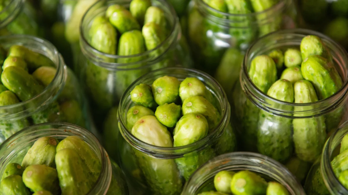 The Great Pickle Pivot: Costco Reintroduces Fan-Favorite Bubbies to Challenge Grillo’s Dominance