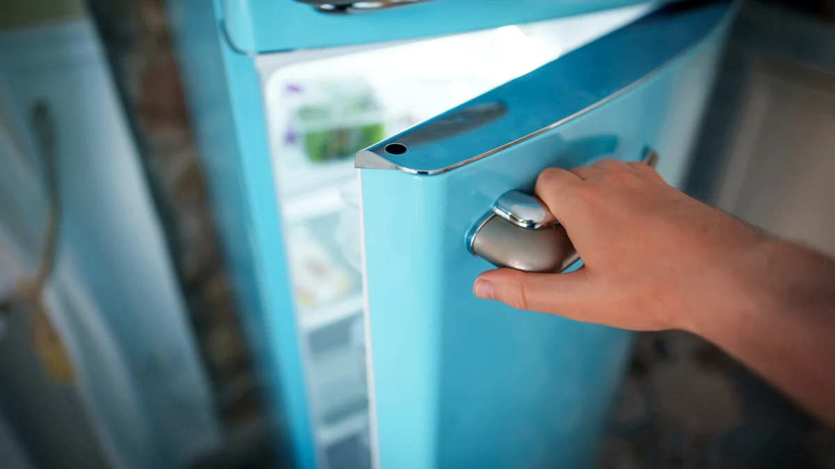 The Mint Solution: How a Common Candy is Revolutionizing Refrigerator Maintenance