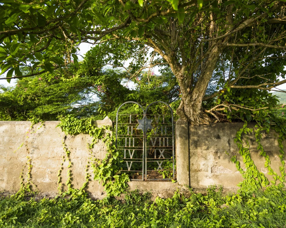 The ‘Nest of Vipers’: How a Caribbean Jewish Community Fueled the American Revolution