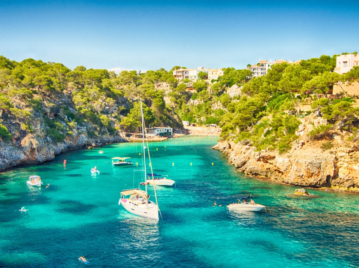 A New Mediterranean Frontier: Freixenet’s Strategic Foray into Mallorcan Viticulture
