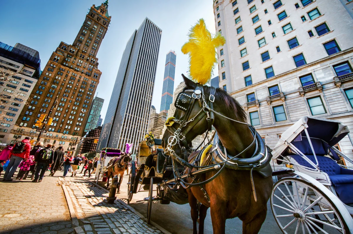 Celebrity Endorsement Fuels Calls to End NYC’s Horse-Drawn Carriage Industry Amidst Tragic Incidents