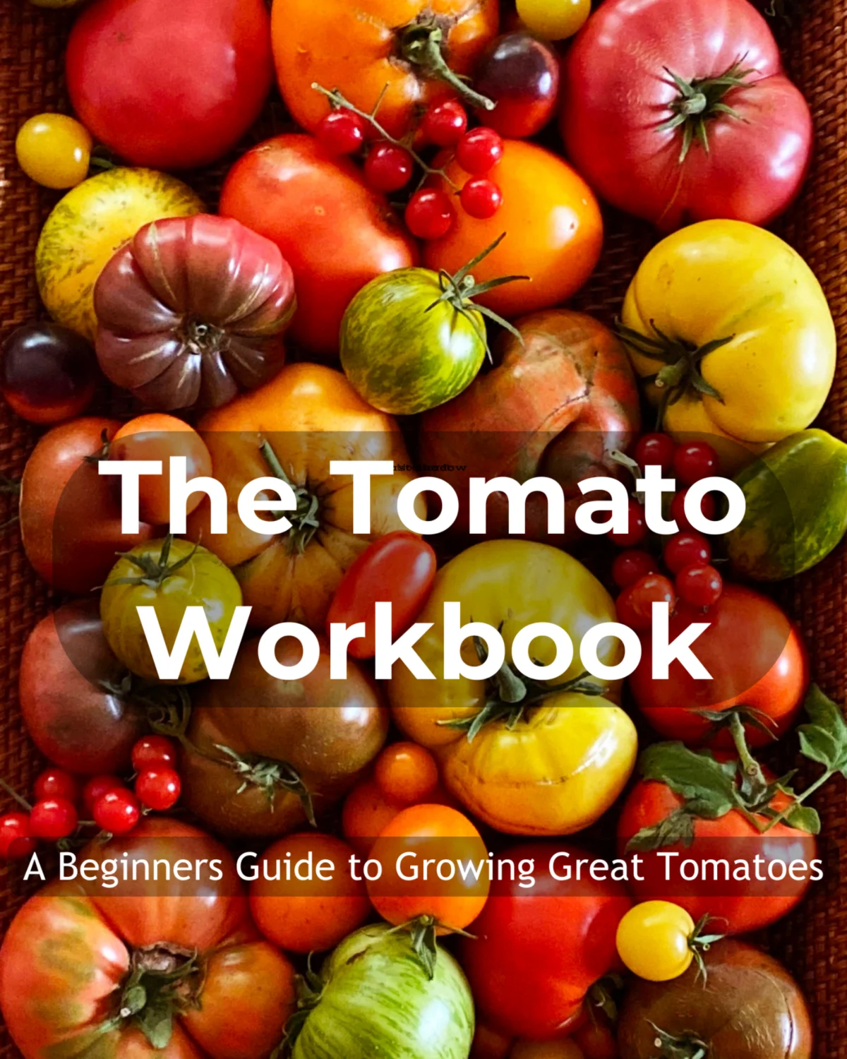 The Art and Science of Cultivating Thriving Tomatoes: A Comprehensive Guide to Companion Planting