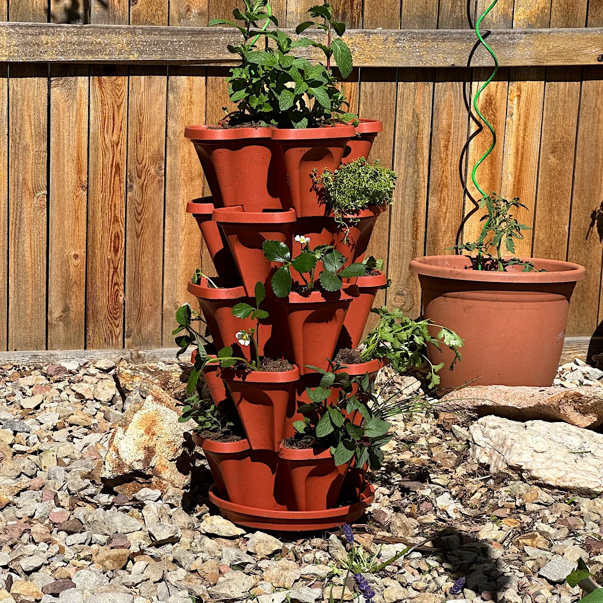 Empowering the Urban Gardener: Navigating Travel with Thriving Container Gardens