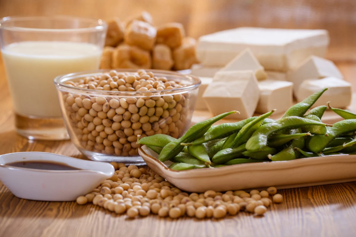 EU’s New Protein Action Plan: A Focus on Livestock Feed Sparks Debate on Human Diets and Agricultural Sustainability