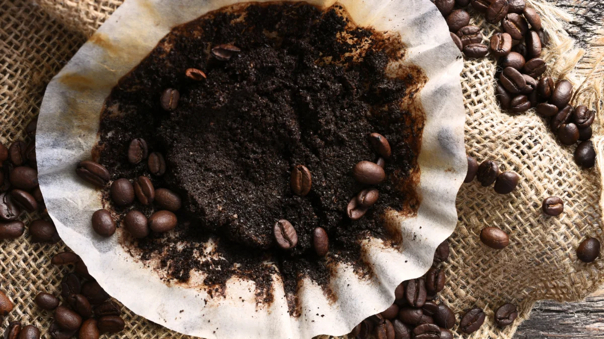 The Aromatic Shield: Why Coffee Grounds Are Your Freezer’s Best Defense Against Vacation Disasters