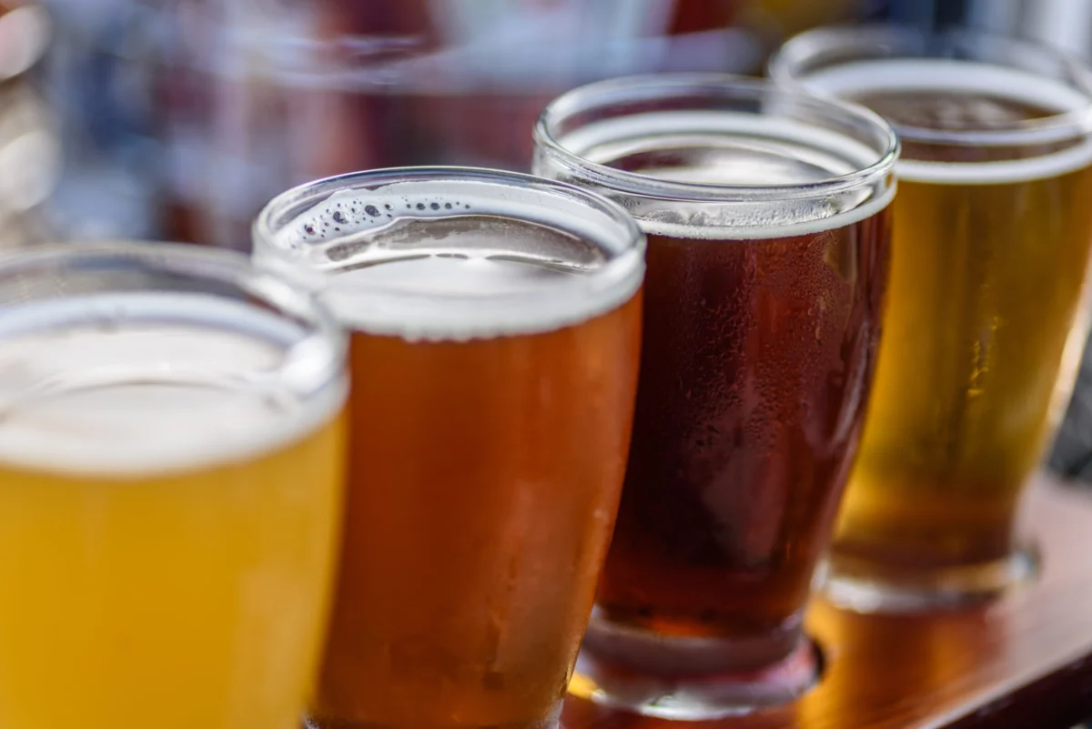 The Dawn of Functional Fermentation: Japanese Researchers Unlock High-Ornithine Yeast for the Next Generation of Craft Beer