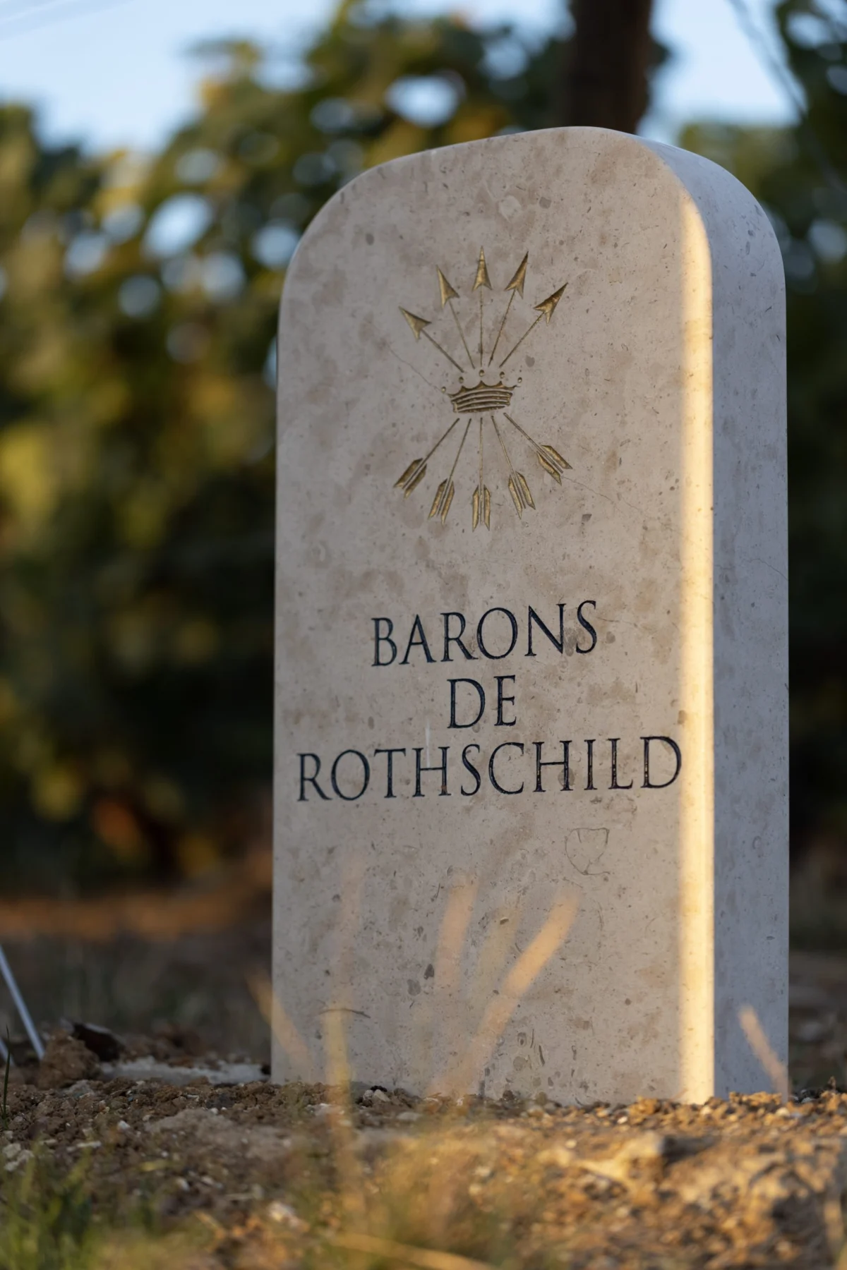 The Evolution of Terroir: Champagne Barons de Rothschild Unveils New Single-Site Expressions