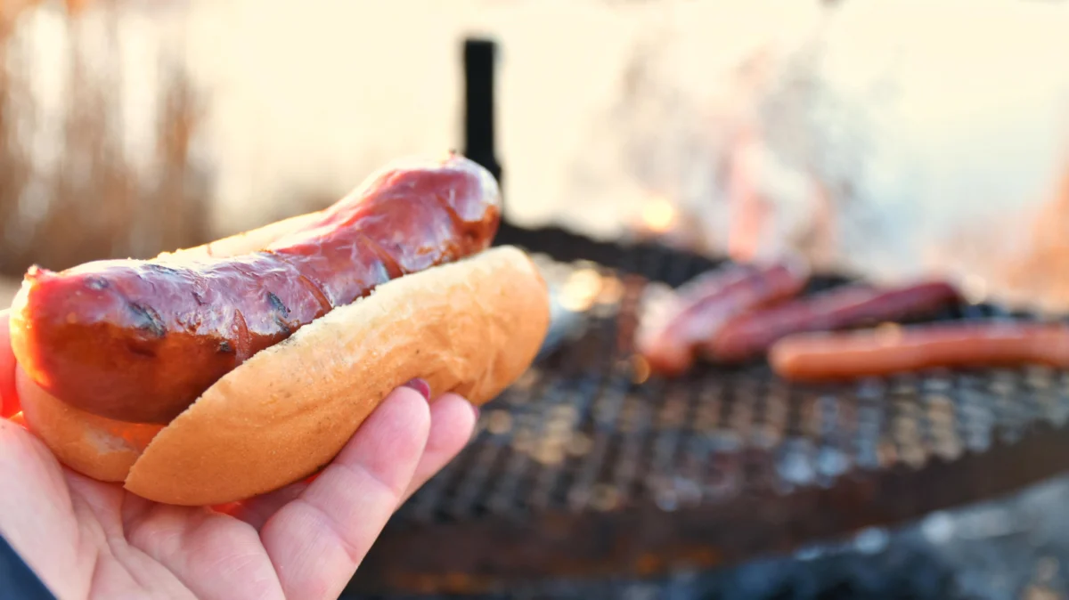 The Evolution of the American Frank: Why Sloppy Joe Toppings are Redefining the Backyard Barbecue