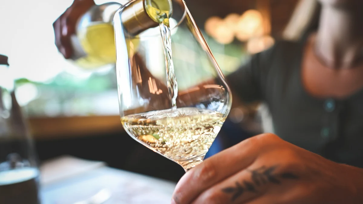The Global Paradox of Sauvignon Blanc: A Comprehensive Guide to the World’s Most Versatile White Wine