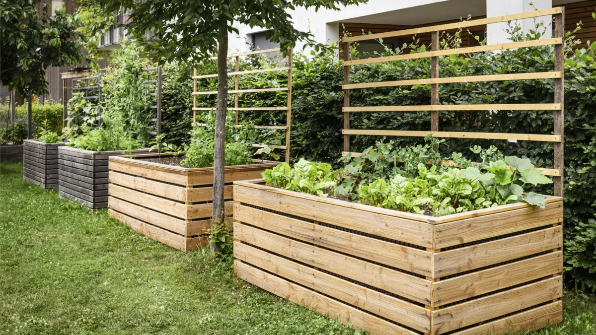 The Zesty Shield: Leveraging Citrus as a Natural Deterrent in the Modern Vegetable Garden