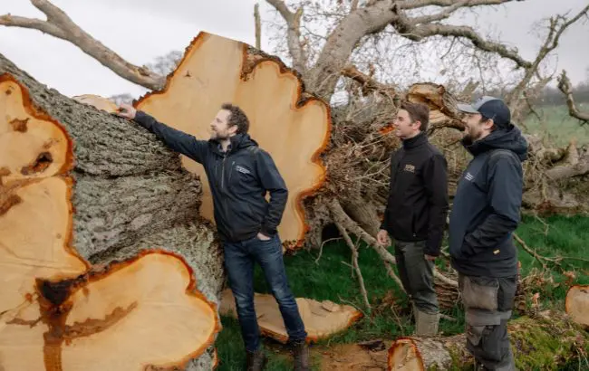 A Millennium in the Making: 1,000-Year-Old Irish Oak Resurrected as Rare Whiskey Casks