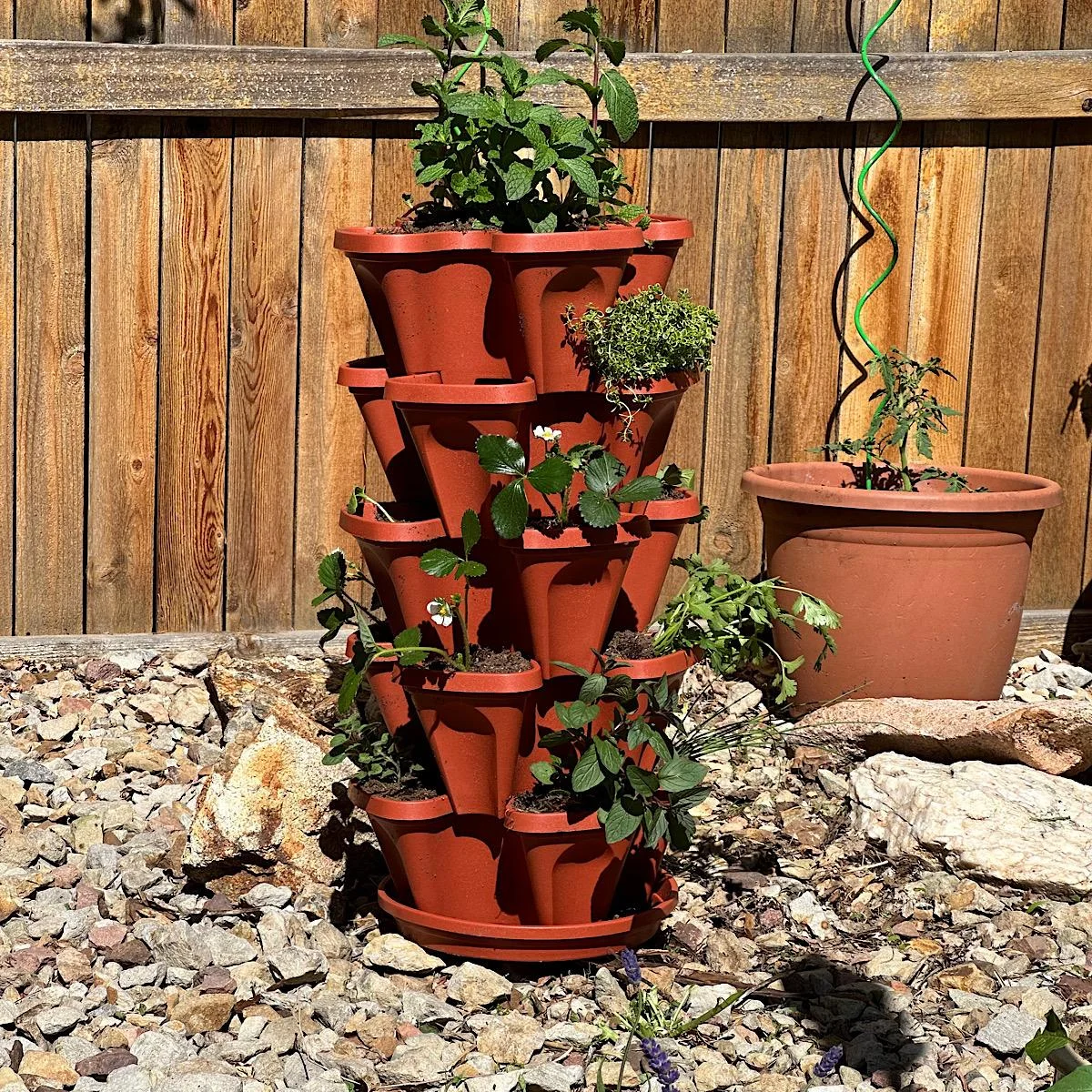 Cultivating Continuity: Smart Solutions for Watering Container Gardens While Traveling