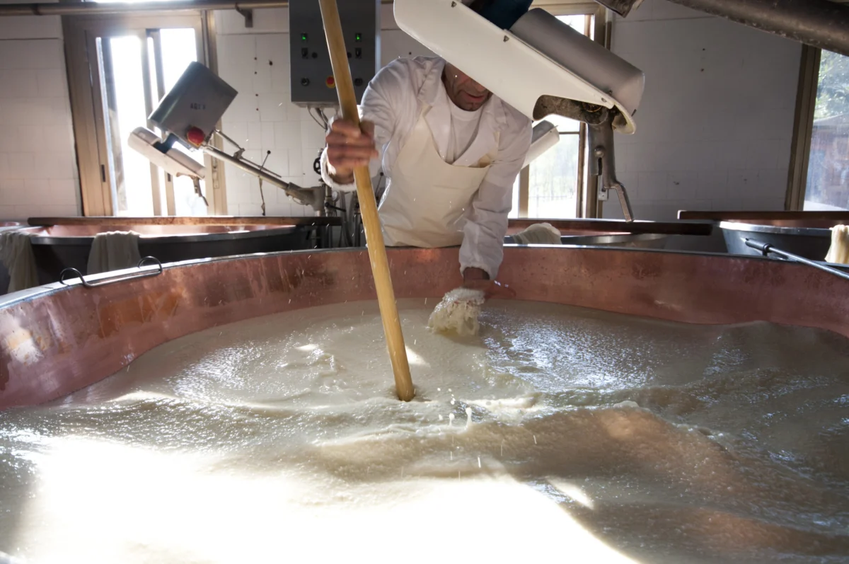 Elevating the Palate: The "Real Italian Cheese, Please" Campaign Champions Authentic Italian Dairy in the US