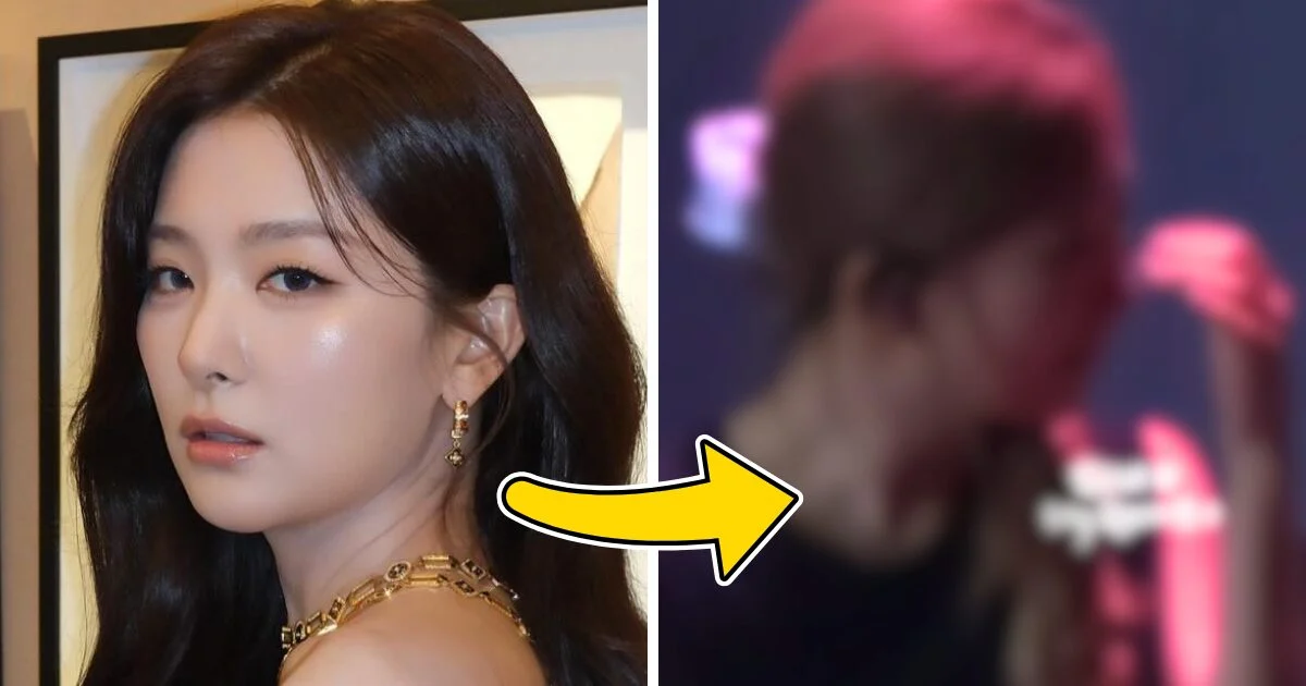 Red Velvet’s Seulgi Overcome with Emotion During Comeback Fan Concert, Fans Speculate on Personal Grief