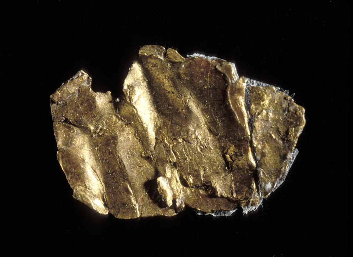 The Gilded Catalyst: How a Sierra Nevada Nugget Reforged the American Soul