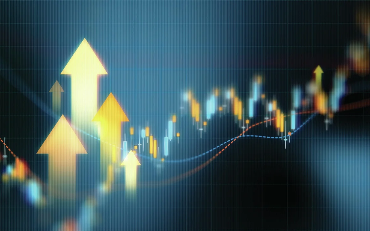 The Great Stabilization: Fine Wine Market Finds Its Floor as Blue-Chip Vintages Lead Recovery