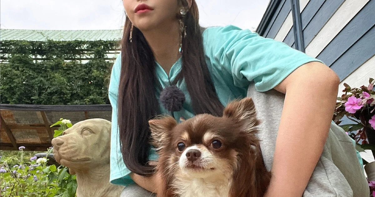 Transgender Icon Harisu Recounts Unsolicited Advances from Prominent Male Actors