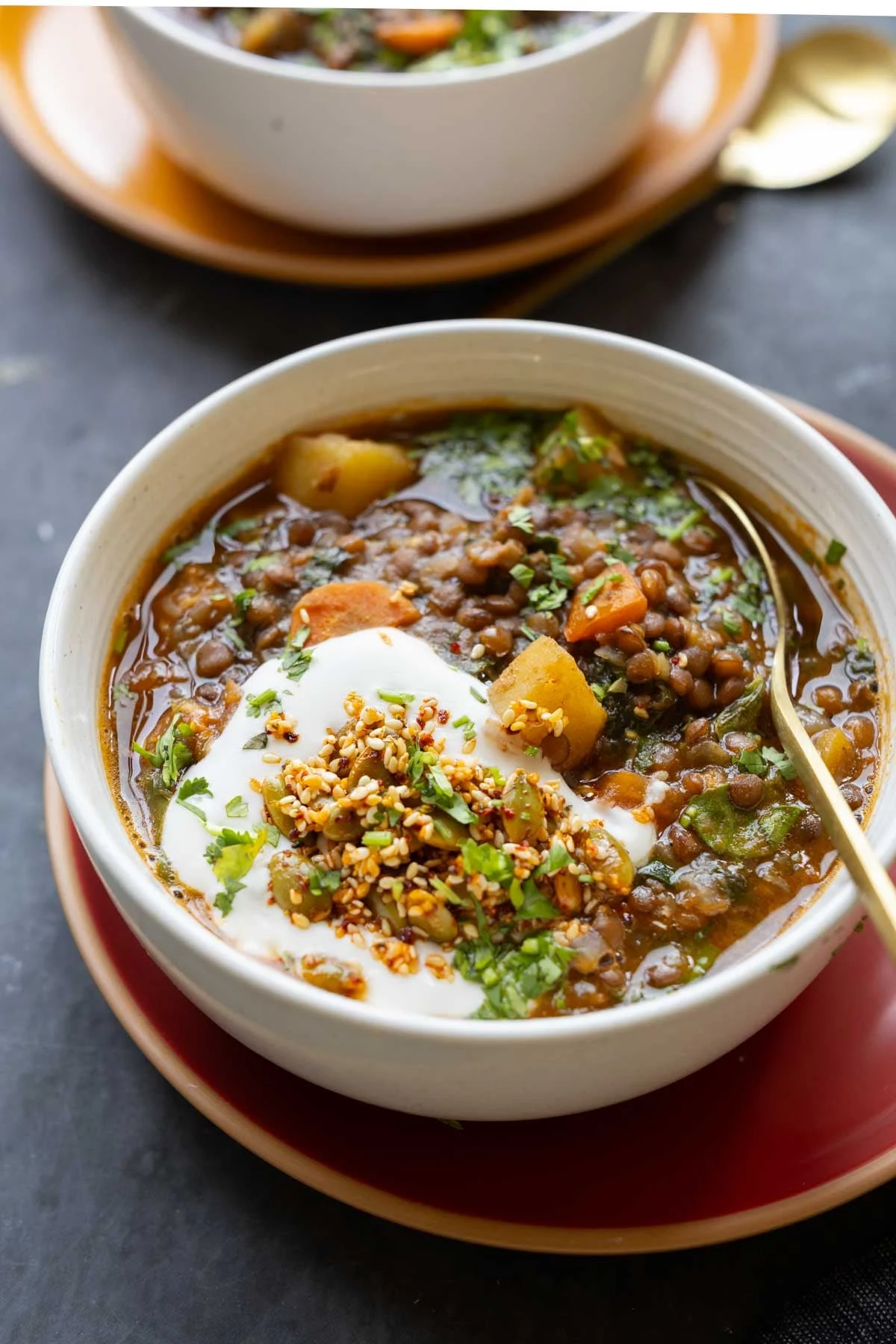 A Culinary Masterpiece: Unveiling the Secrets to an Unbelievably Flavorful and Nutritious Lentil Potato Soup