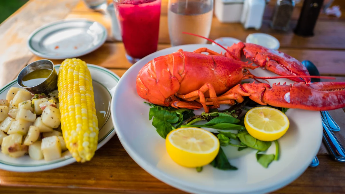 The Economics of the Crustacean: Analyzing Lobster Pricing from the 1970s to Today