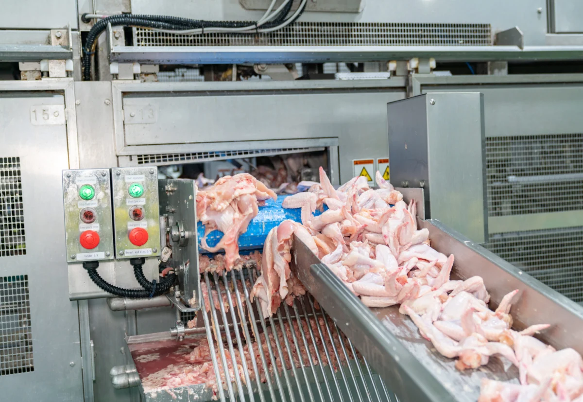 Three Companies Have ‘Almost Complete Market Domination’ Of UK Poultry Supply