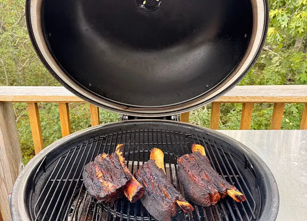 Beyond Brisket: Unearthing the Majesty of "Dino Bones" – Beef Plate Ribs for the True Barbecue Connoisseur