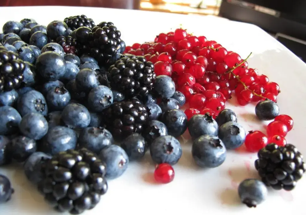 Navigating the Orchard: A Nuanced Look at Fruit in Low-Carb and Slow-Carb Diets