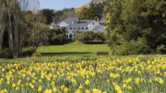 New Zealand’s Golden Age of Luxury: Aotearoa Shines on the Global Hospitality Stage with Michelin Acclaim