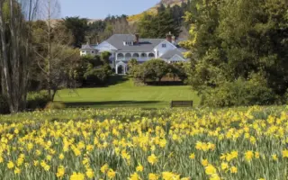 New Zealand’s Golden Age of Luxury: Aotearoa Shines on the Global Hospitality Stage with Michelin Acclaim