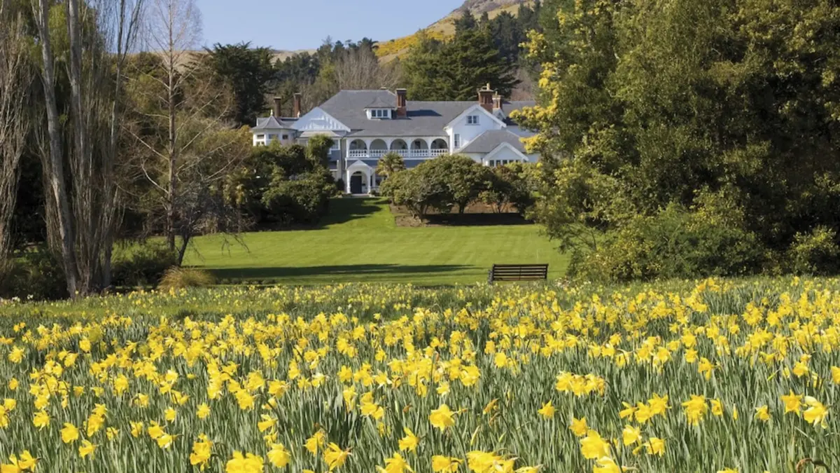 New Zealand’s Golden Age of Luxury: Aotearoa Shines on the Global Hospitality Stage with Michelin Acclaim