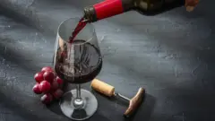 The 2026 Cabernet Sauvignon Report: A Global Survey of Excellence and Terroir