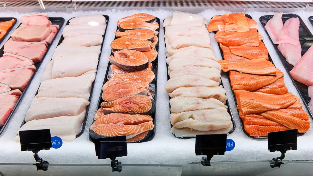 The Barramundi Revolution: Why This Buttery White Fish is Poised to Topple Salmon’s Market Dominance