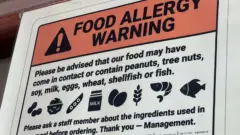 The New Frontier of Food Safety: Navigating the Mandatory Shift Toward Allergen Transparency in Restaurants