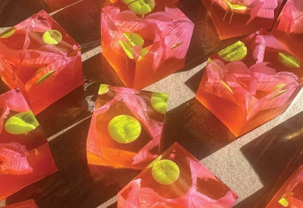 The Renaissance of the Edible Cocktail: Inside the Artistic World of Solid Wiggles